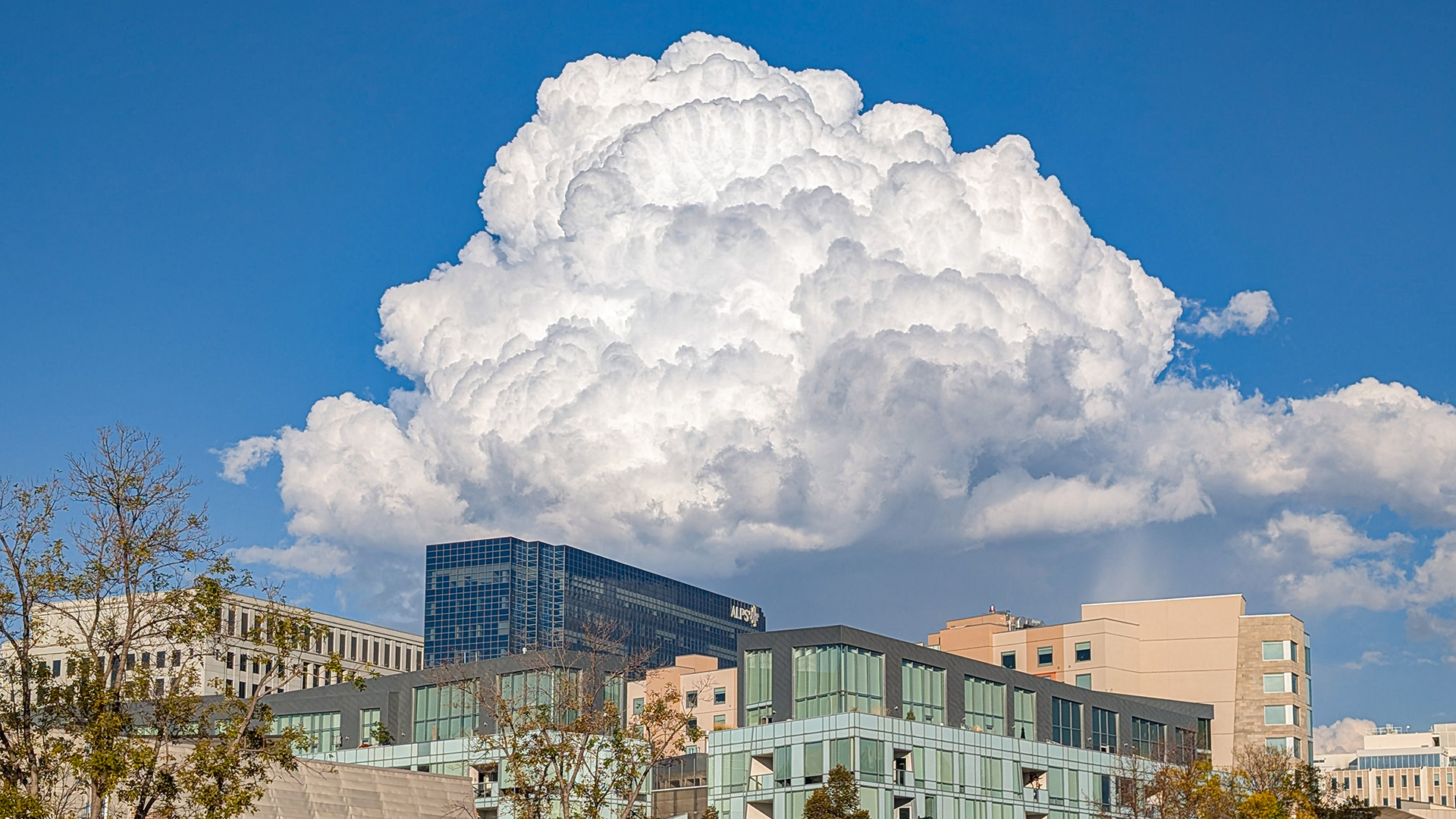 Large Cloud Prompts Missing Middle Housing Discussions ( Cloned )